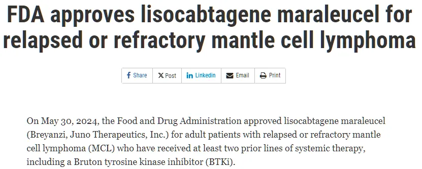 FDA批准Breyanzi用于套细胞淋巴瘤