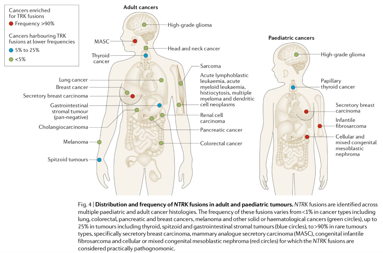 各癌种NTRK基因融合突变的概率