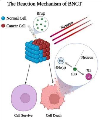 不用开刀,最快30分钟清除癌细胞?硼中子疗法首次人体试验公布,2年生存率竟高达90%
