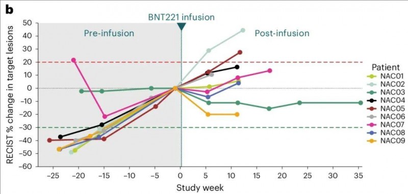 BNT221的临床反应蜘蛛图