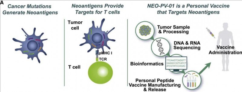个性化新抗原疫苗NEO-PV-01