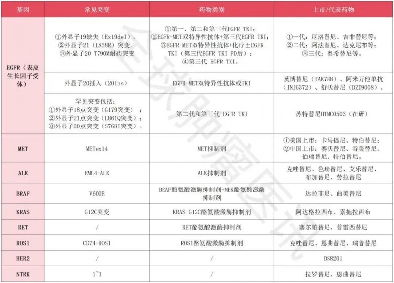 肺癌常见突变基因及其靶向药大盘点