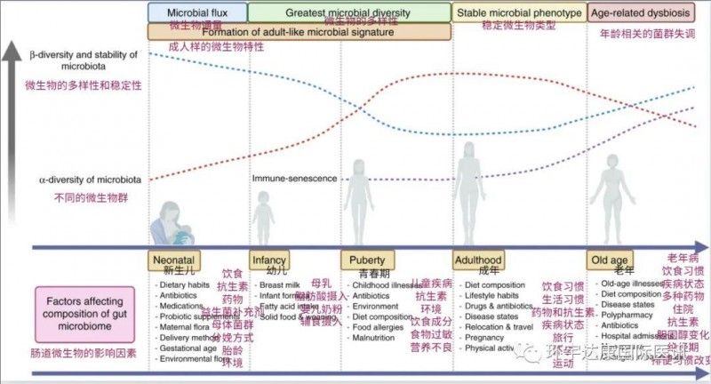 肠道微生物的影响因素