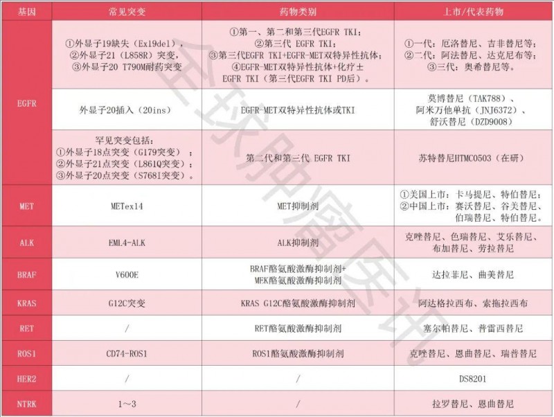肺癌常见的突变类型及靶向药大盘点