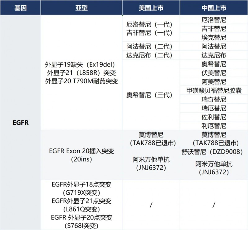 肺癌EGFR靶向药