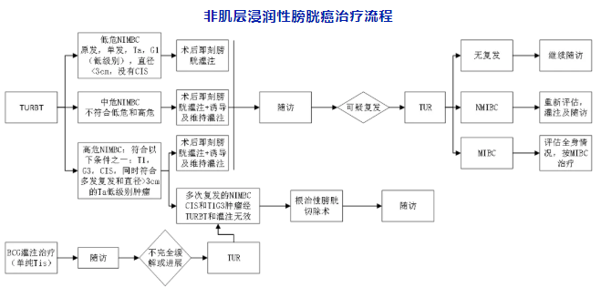 非肌层浸润性膀胱癌治疗流程