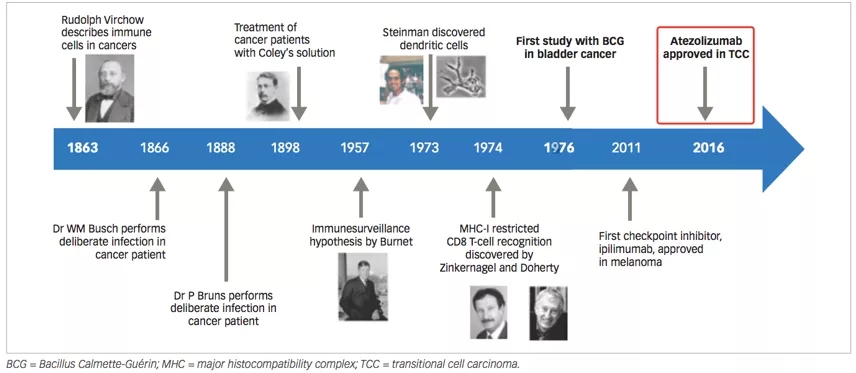 膀胱癌免疫治疗发展历程