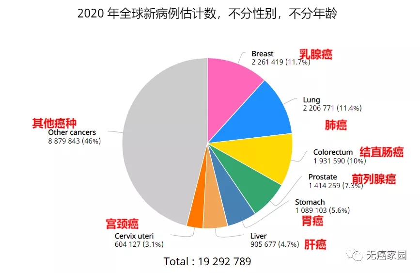 2020年全球癌症新病例估计数