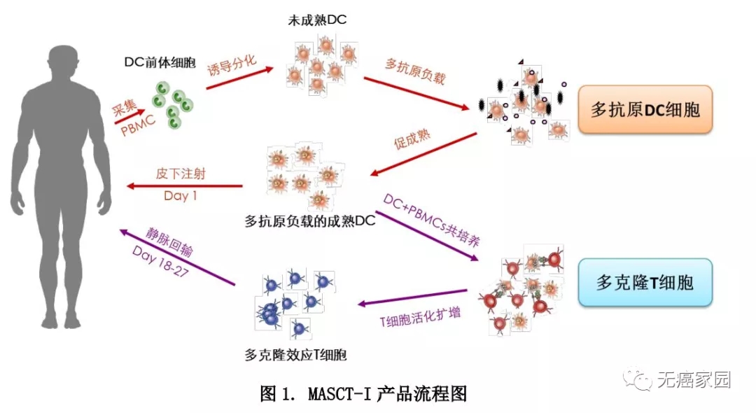 MASCT-I产品流程图