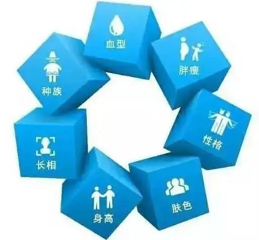 基因检测的作用