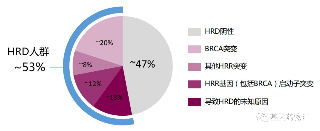 HRD人群概率