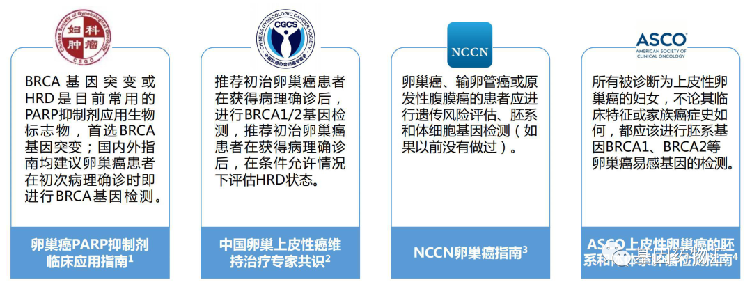HRD治疗共识