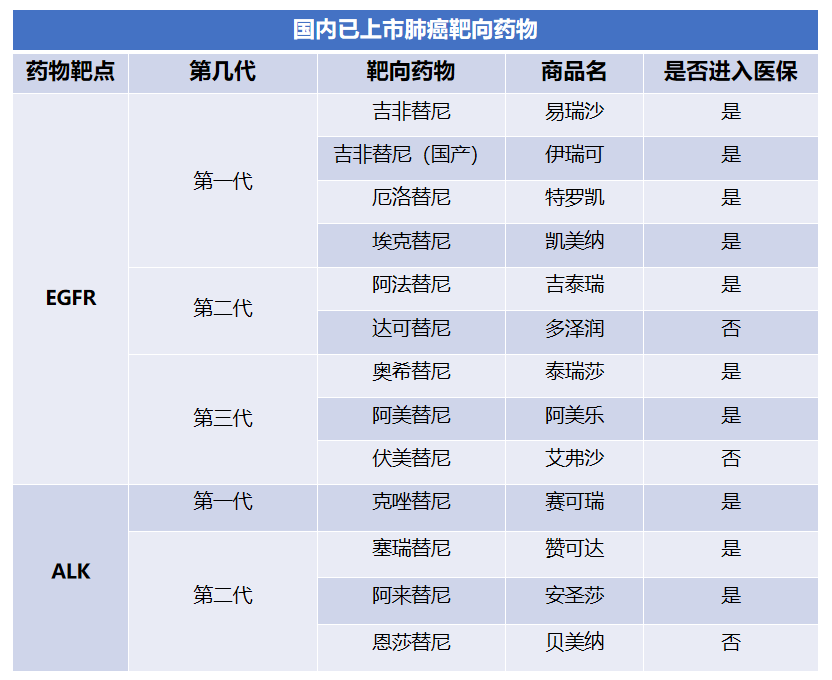 国内上市的肺癌靶向治疗药物