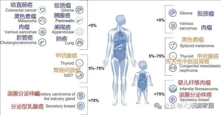 NTRK基因突变的概率